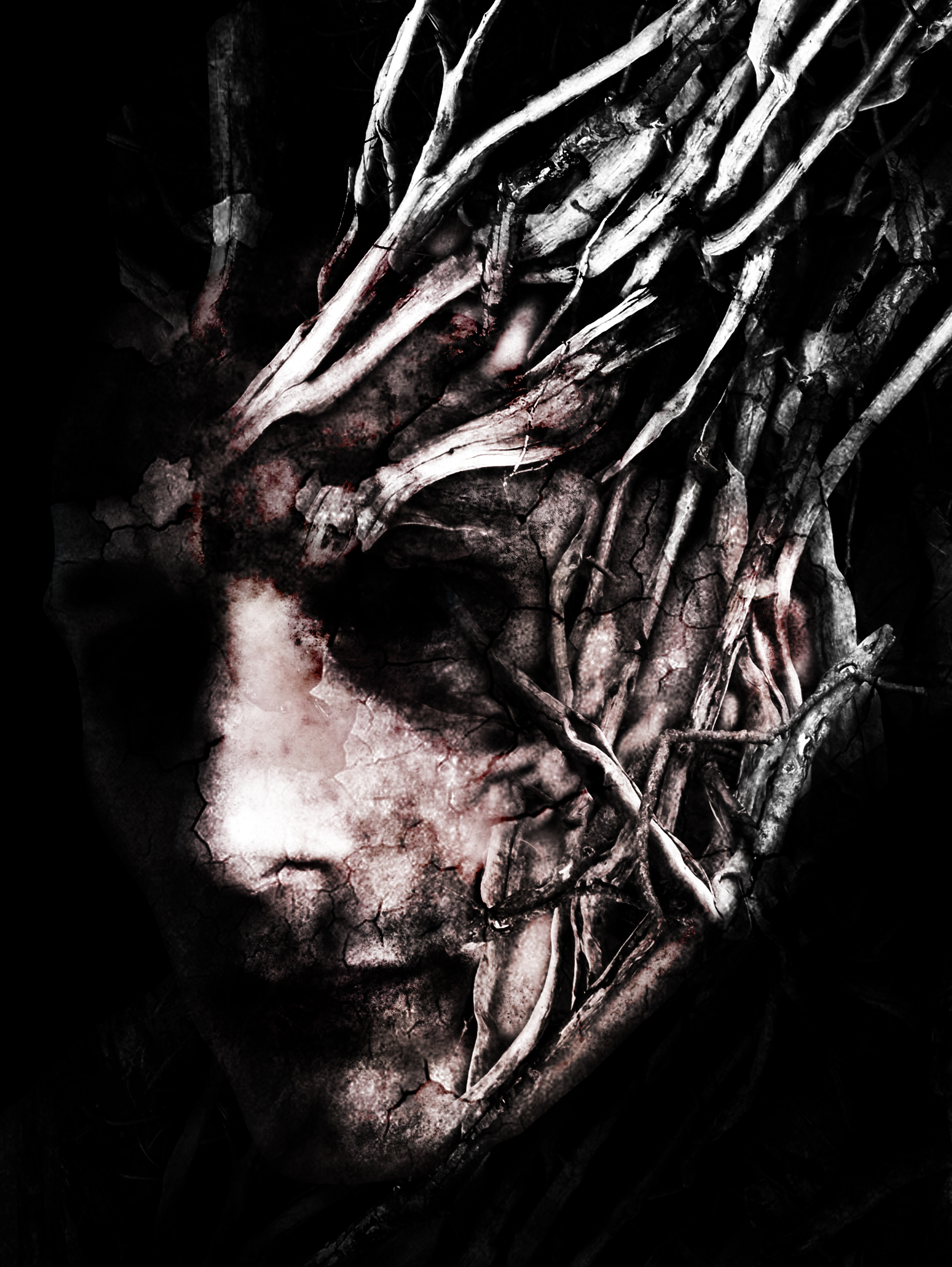 The Weight of the Root